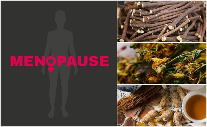 10 Natural Remedies for Menopause