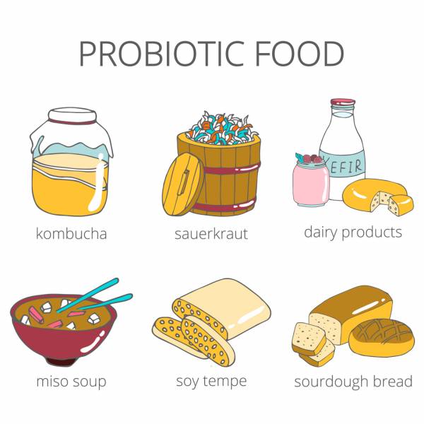Pros and Cons of Probiotics for Senior Citizens