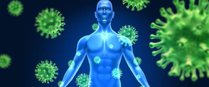 Fun facts about your immune system