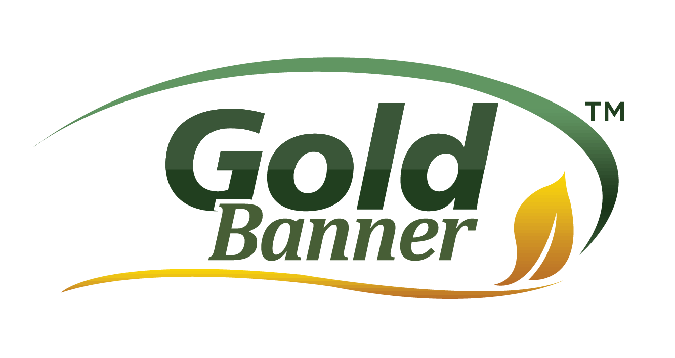 Gold Banner